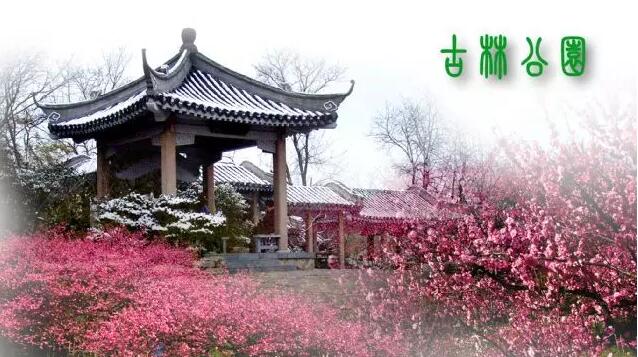 <b>【南京三門灣電器】周日4.24古林公園賞牡丹花、</b>